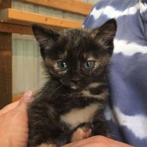 Meet your Posher, Kelli